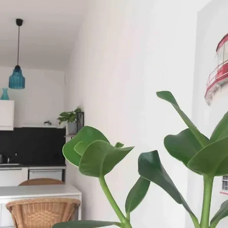 Nowe Wygodne Studio Przy Lesie *